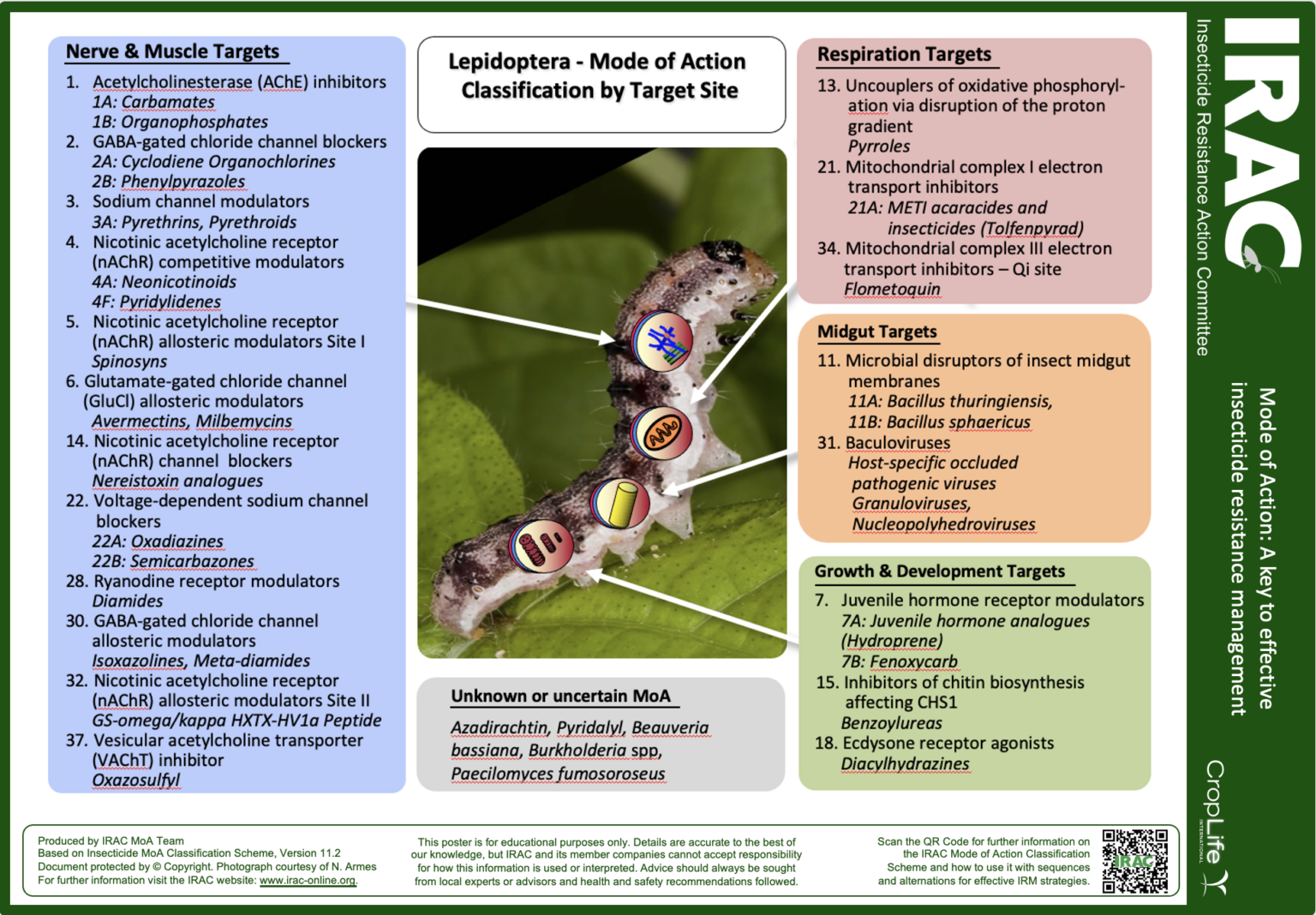 Cotton leafworm Archives | Insecticide Resistance Action Committee