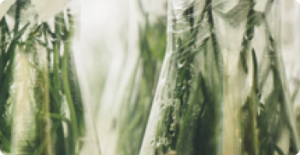 Biotechnology