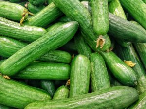 Glasshouse Vegetables