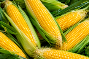 Corn